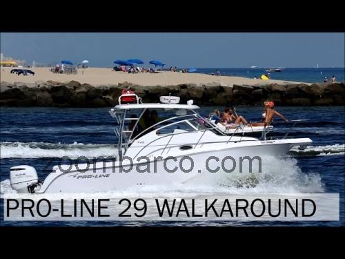 Pro Line 29 Express ficha tecnica